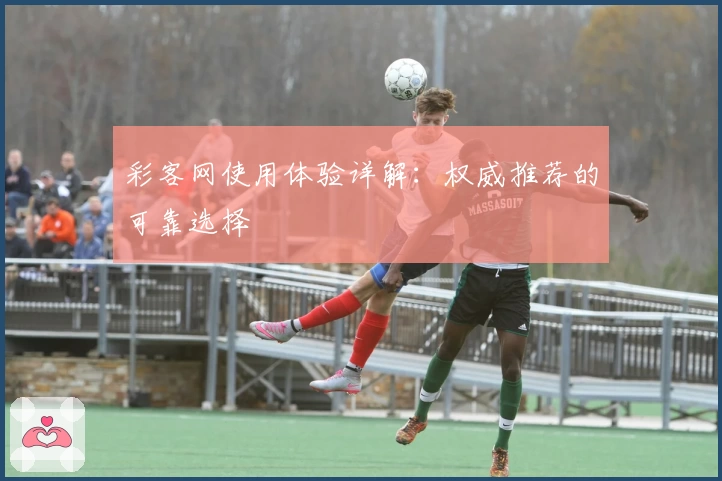 彩客网使用体验详解：权威推荐的可靠选择