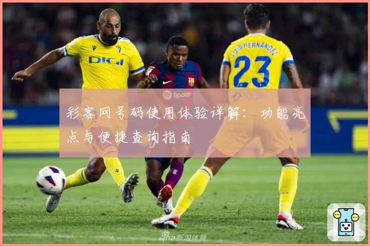 彩客网号码使用体验详解：功能亮点与便捷查询指南