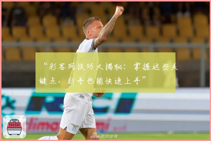 “彩客网技巧大揭秘：掌握这些关键点，新手也能快速上手”