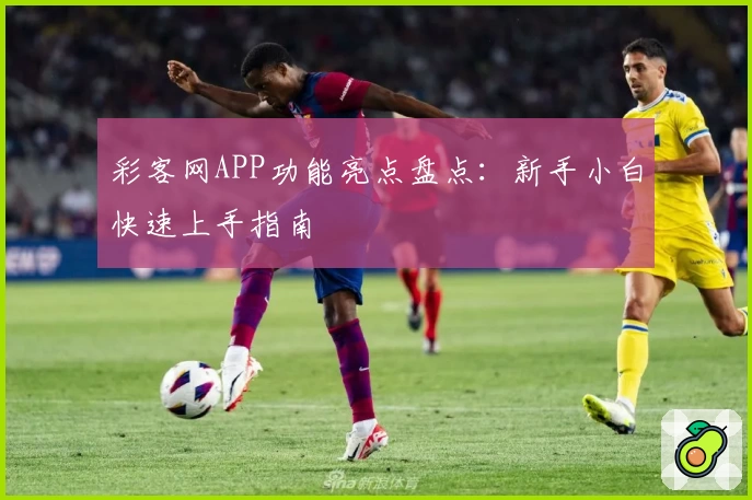 彩客网APP功能亮点盘点：新手小白快速上手指南