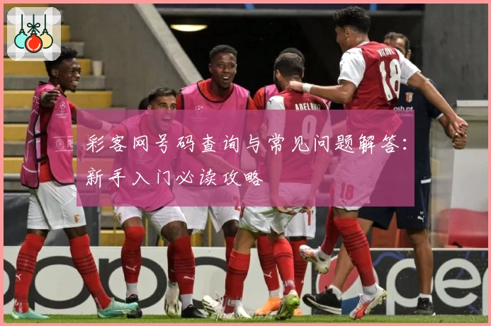 彩客网号码查询与常见问题解答：新手入门必读攻略