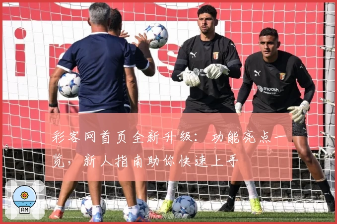 彩客网首页全新升级：功能亮点一览，新人指南助你快速上手