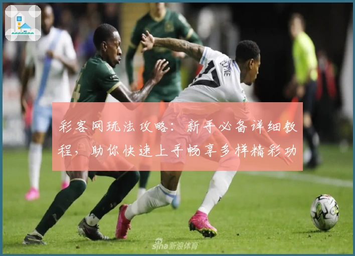 彩客网玩法攻略：新手必备详细教程，助你快速上手畅享多样精彩功能