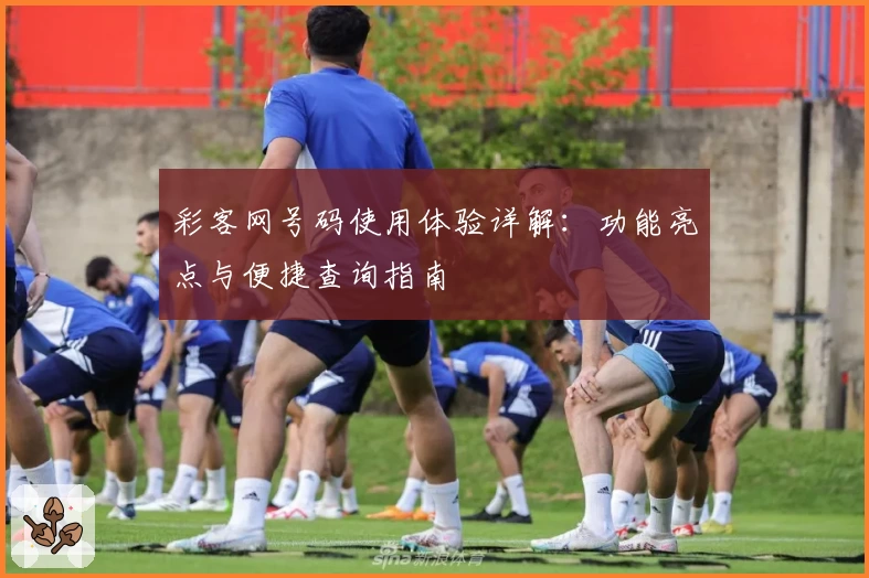 彩客网号码使用体验详解：功能亮点与便捷查询指南