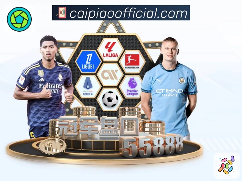 彩客网全站App 彩客网全站App